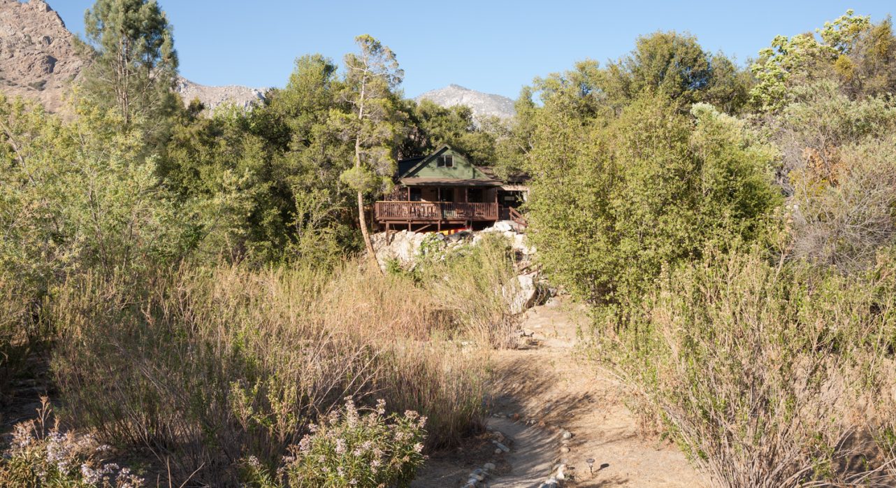 1-River-Willow_Backyard